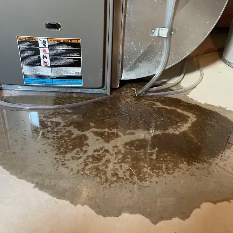 Appliance Leak Cleanup in West Coon Rapids, MN